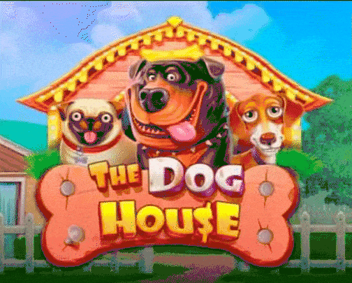 play The Dog House in zuluspins casino